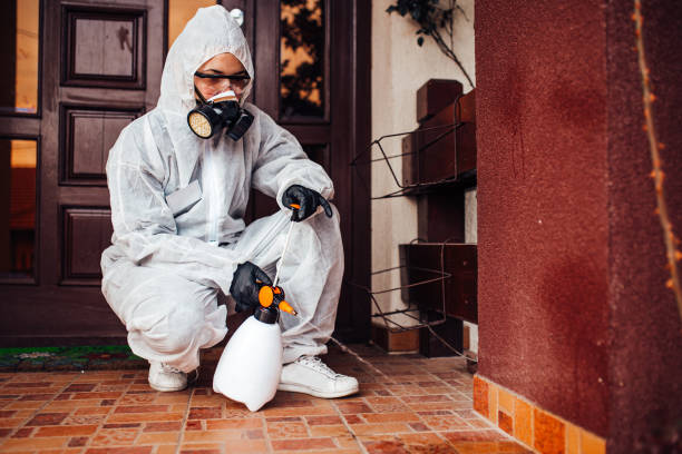 Attic and Crawl Space Rodent Treatment in Mountain View